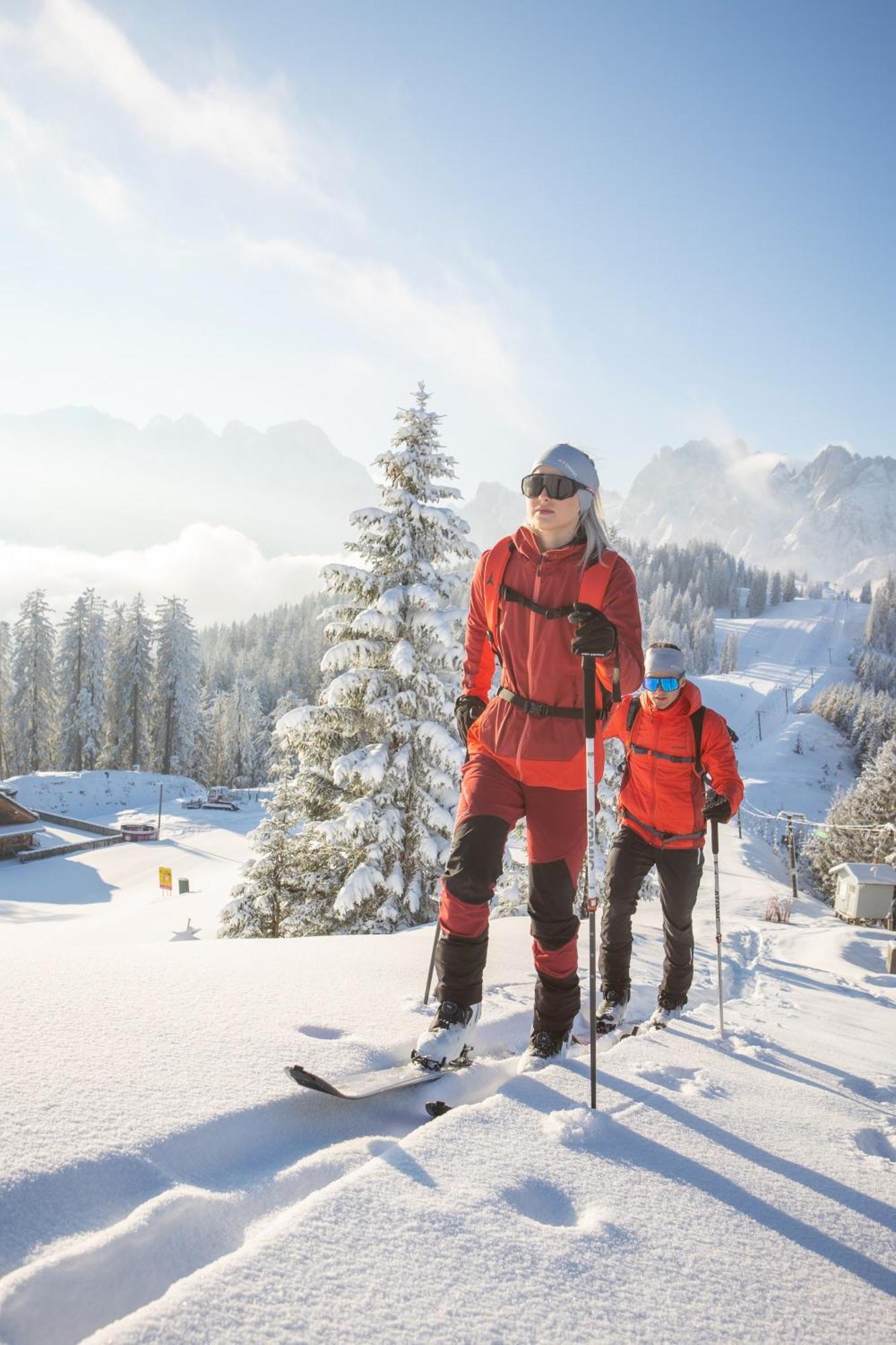 Dachstein Chalet Русбах-ам-Пас-Гшютт Экстерьер фото