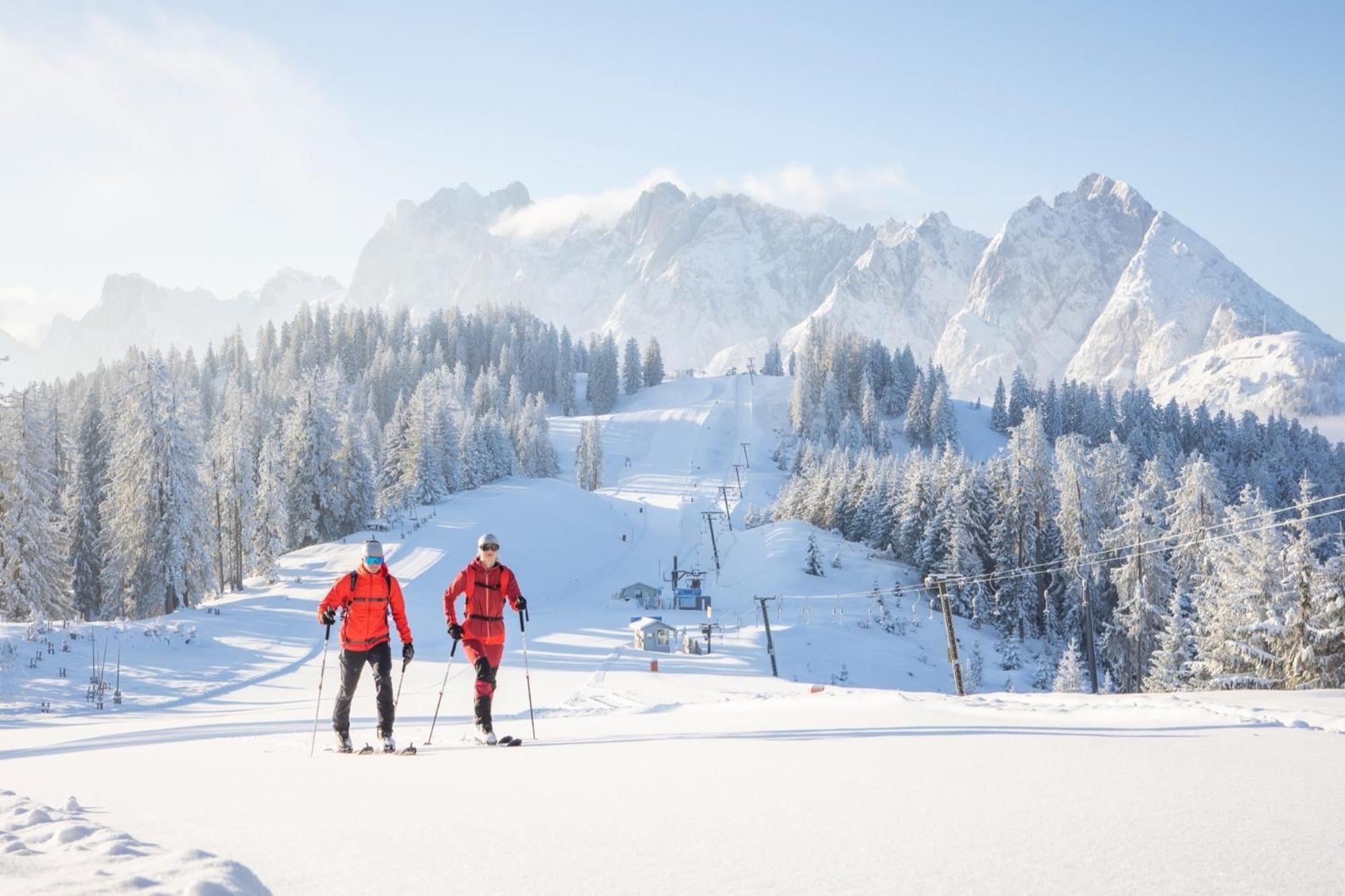 Dachstein Chalet Русбах-ам-Пас-Гшютт Экстерьер фото